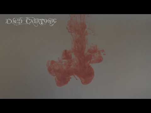 COLD CATATONIC - LITTLE BASTARD (OFFICIAL LYRIC VIDEO)