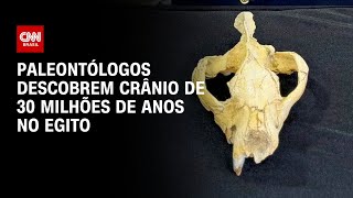 Miniatura do vídeo