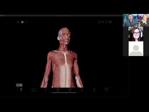 Anatomy and physiology of COVID-19: What is our future?