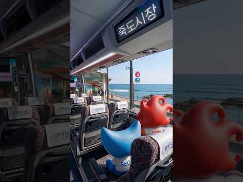 버스로 만나보는 포항의 하루,포항관광시티투어