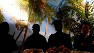 The Magnetic Fields - Take Ecstasy With Me