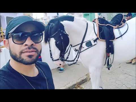 Arreio De Ouro & Buscapé - Só Toadas