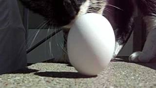 Vernal Equinox Egg Stand