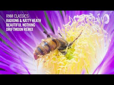 Radion6 & Katty Heath - Beautiful Nothing (Driftmoon Remix) [RNM CLASSICS]