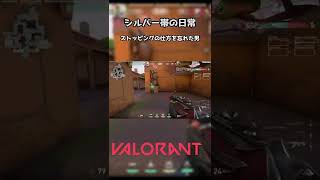 シルバー帯の日常#9 #Shorts