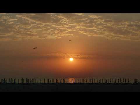 Marbert Rocel - 'Cause Of Loving (Soyro edit)