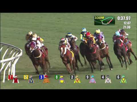 3/2/2021 (398) Grateful Heart - Z Purton