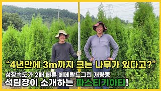 석팀장이 소개하는 파스티기아타!!