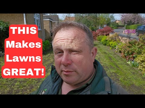 Revive Your Damaged Lawn in 11 Simple Steps - Beginner's Guide