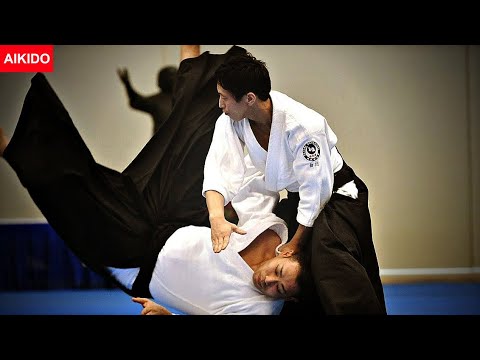 Amazing! Super Dynamic Aikido - Shirakawa Ryuji shihan
