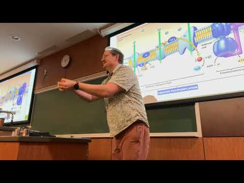BIOL 105 Lecture 19 10/9/26