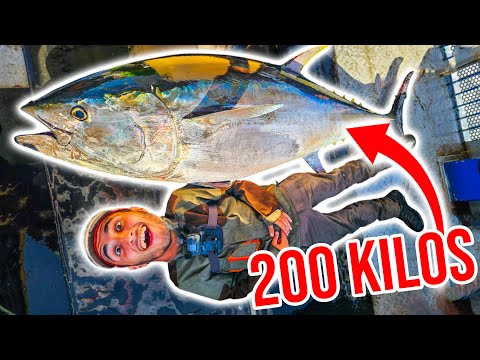 I caught a giant 200kg bluefin tuna! What an incredible adventure!