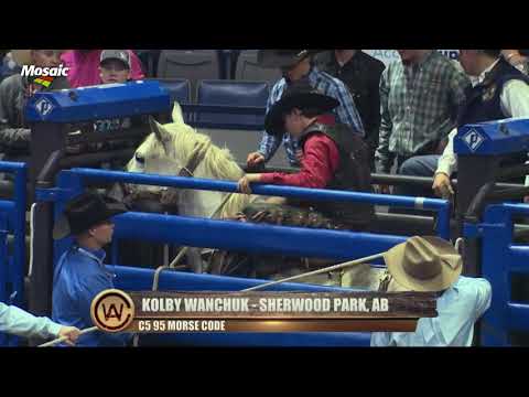 Rodeo 101 - Saddle Bronc