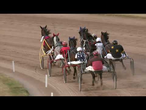 2021.09.18. 07. futam - PALMYRA HENDIKEP