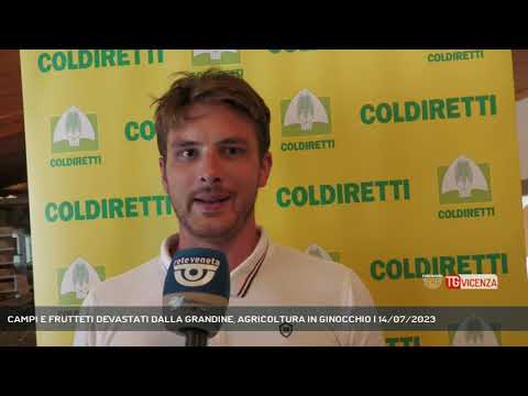 CAMPI E FRUTTETI DEVASTATI DALLA GRANDINE, AGRICOLTURA IN GINOCCHIO | 14/07/2023