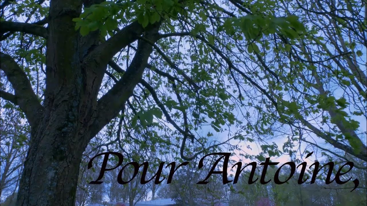 Miniature de la vidéo Pour Antoine, du film Pour Antoine,