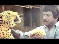 Mrugaya Malayalam Movie Climax Scene Malayalam Movie Thrilling Climax Scene Mammootty