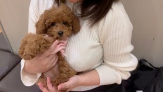 家族が増えました！！