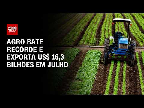 Agro exporta US$ 16,3 bilhões em julho e bate recorde para o mês, aponta Mapa | CNN AGRO NEWS