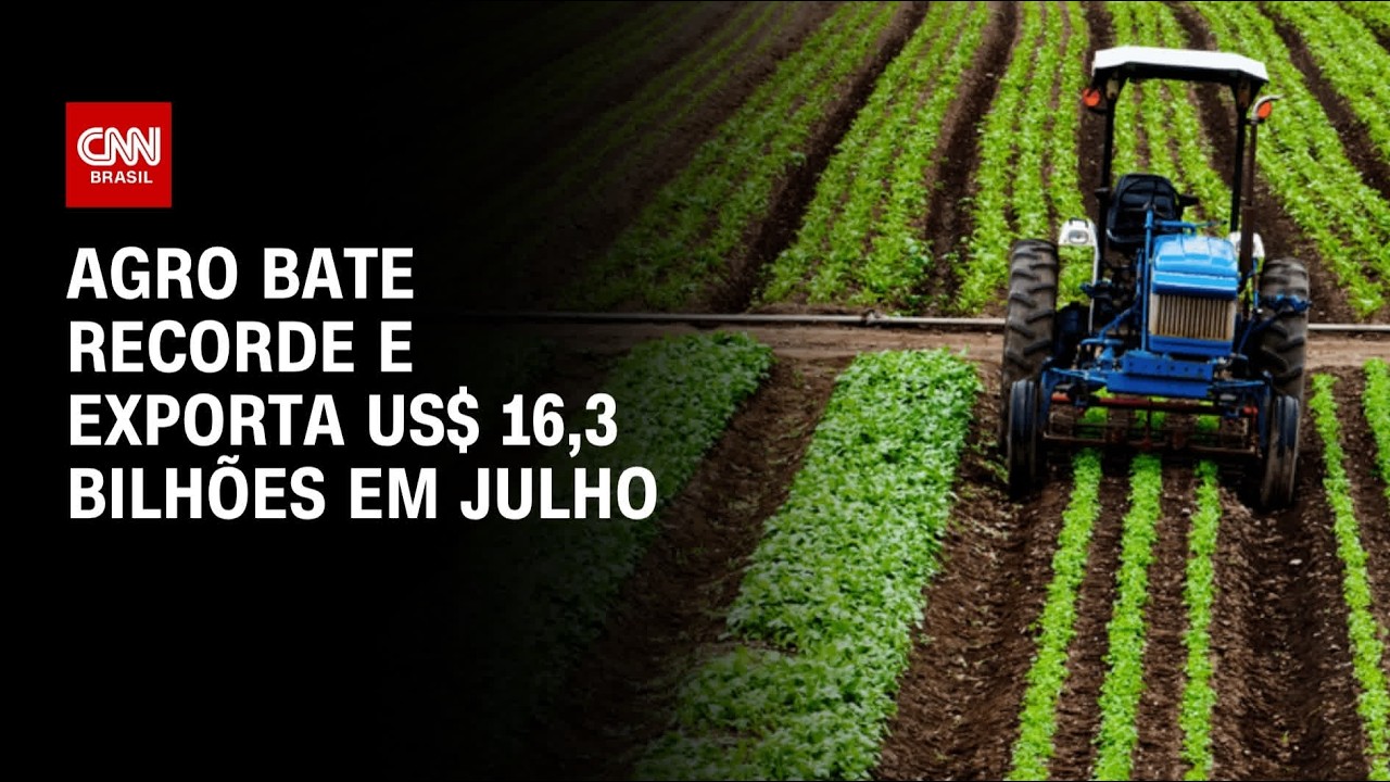 Agro exporta US$ 16,3 bilhões em julho e bate recorde para o mês, aponta Mapa | CNN AGRO NEWS