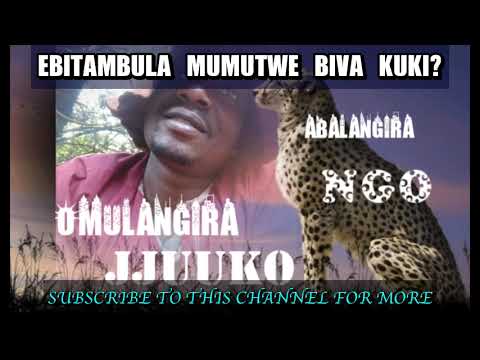 Ggwe awulira ebikutambula mumutwe manya biino - Omulangira jjuuko Munabuddu
