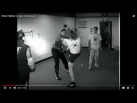 Thumbnail for Steve Falkner Never did Wing Chun in UFC by Brian McComas