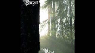 Burzum - Lukans renkespill