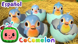 Thumbnail del capítulo