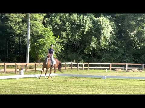 Katherine Acorn dressage meadow creek schooling ht prelim