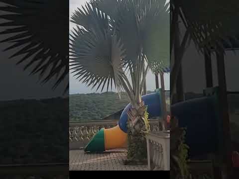 Assista ao vídeo