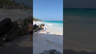 Have you seen Bermuda’s famous pink sand beaches? #royalcaribbean #bermuda #cruise #fyp #foryoupage