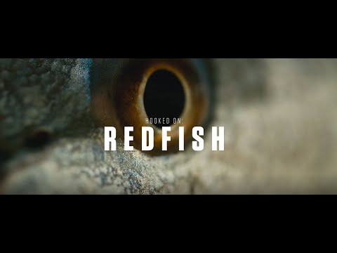 Hooked On: Redfish | COSTA FILMS