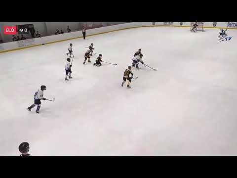 2020.12.12. JÉGOROSZLÁNOK - LEHEL HC U14/B 1.harmad
