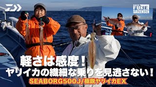 ヤリイカの釣果写真