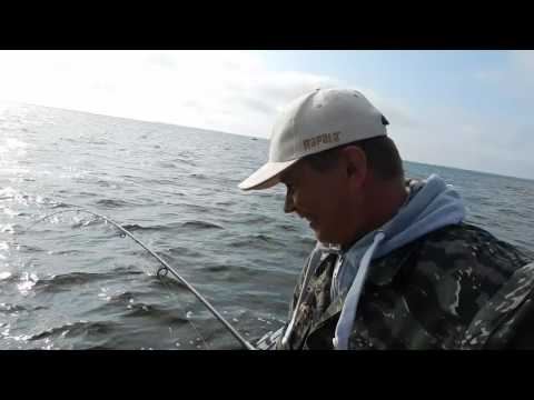 Are 500+ g ahven Peipsist