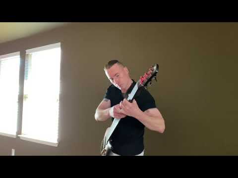 Ibanez 6 String Fretless Bass Guitar Metal Eye The Bass Player