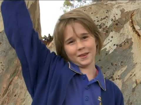 Peter Squires | Helping Tailem Bend to be the Friendliest Town | South Australia