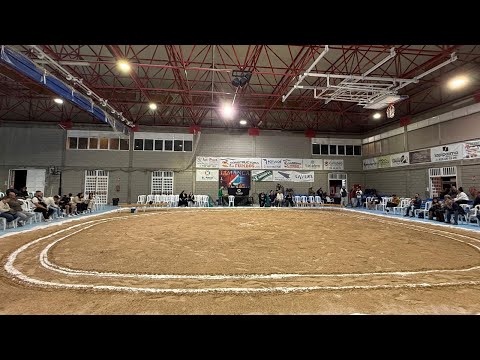 Lucha Canaria en directo desde el munbicipio de El Paso C.L. TAMANCA LAS MANCHAS-C.L. LOS CAMPITOS