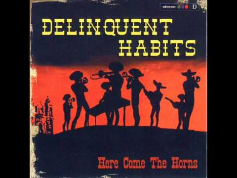 Delinquent Habits - Super DJ Rock the House Party