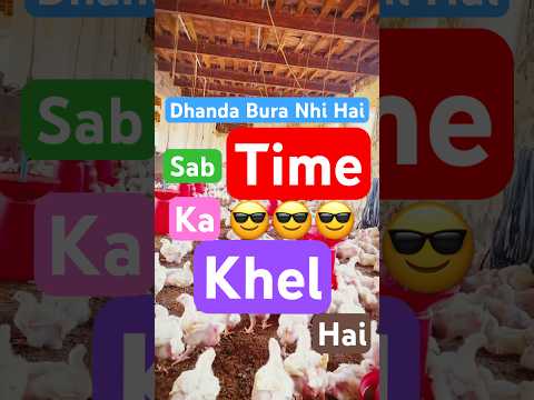 Dhanda bura nhi hai, Sab Time ka khel hai #broilerfarming #2025 #farming #poultryfarming #shorts