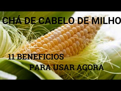 11 BENEFÍCIOS DO CHÁ DE CABELO DE MILHO