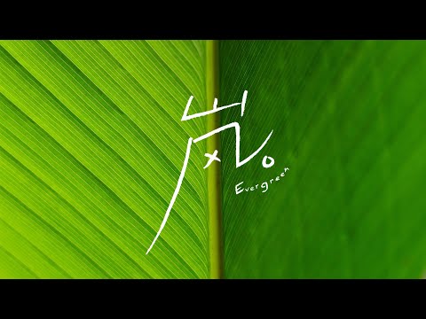 CORSAK - 嵐 Evergreen (Audio)