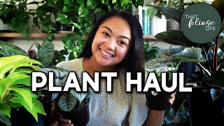PLANT HAUL and Update on Last Plant Haul