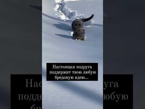 13 февраля 2025 г.