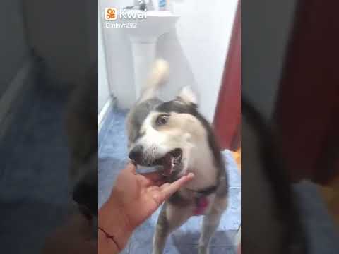 lupe la impaciente jajajaja