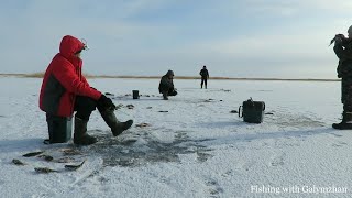 Зайсан рыбалка форум