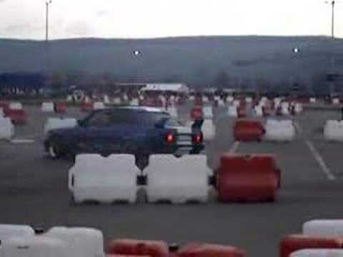 99gmf de la Plopu' plaviceni