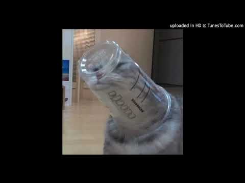 SHINE GANG - INVITAMELO