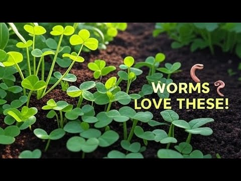 I Added This to My Worm Bin—And Worms Multiplied Like Crazy