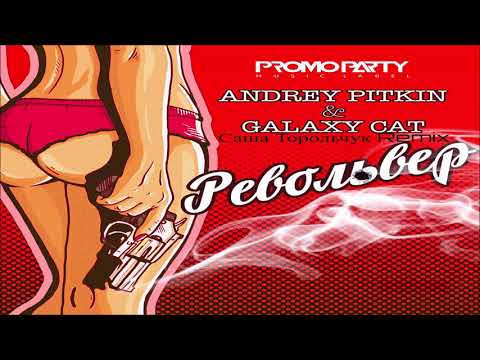 Andrey Pitkin feat. Galaxy Cat - Револьвер (Саша Торольчук Remix)